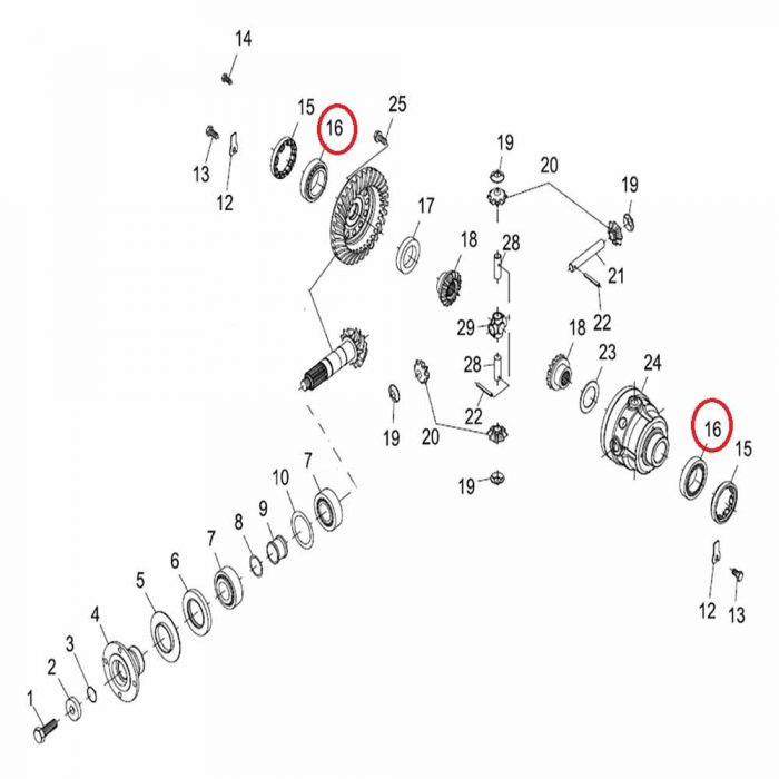 Diff bearing (EACH)