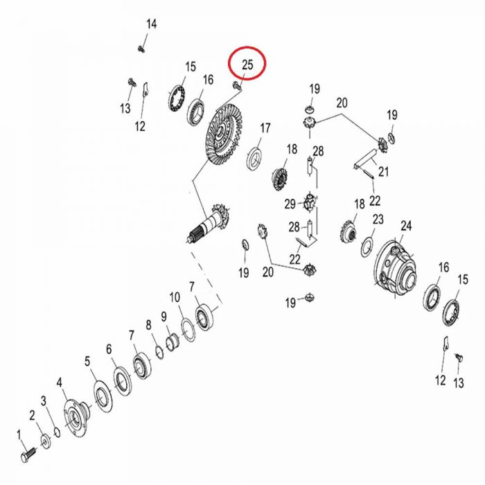 Crownwheel bolt (EACH)
