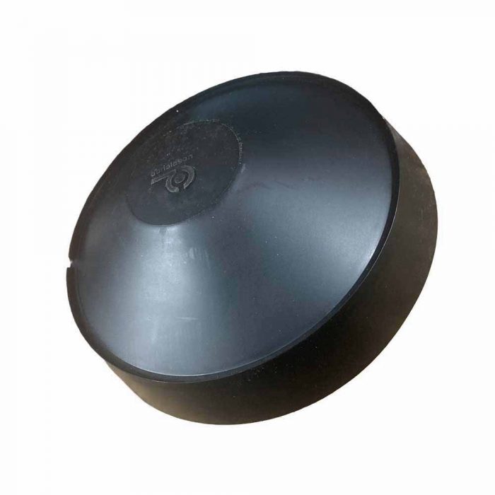 Air filter assembly rain cap