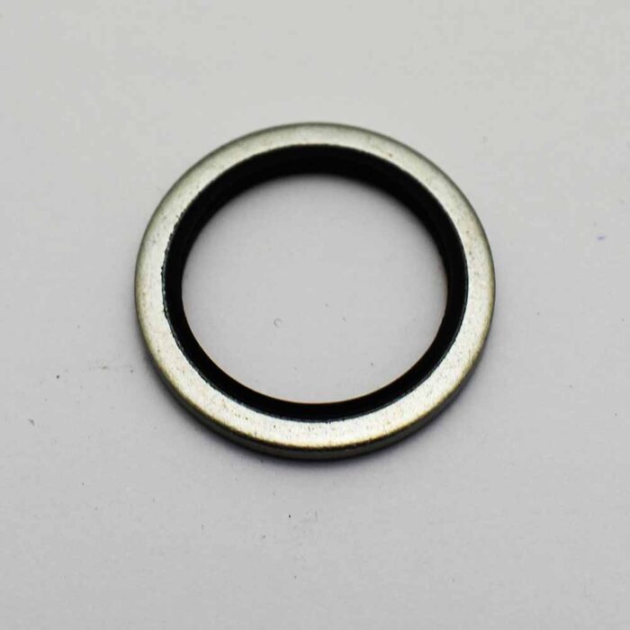 DOWTY WASHER 1" BSP