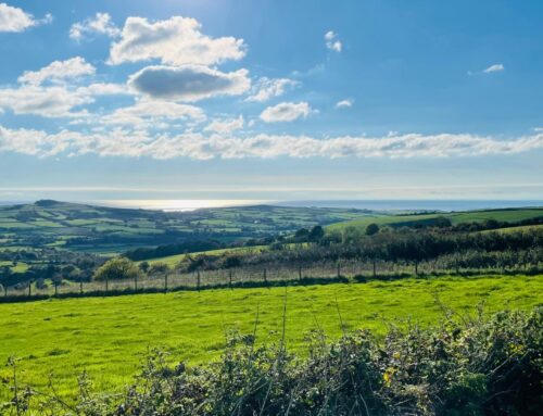 Exeter to Poole – A Journey Through the Heart of the South West